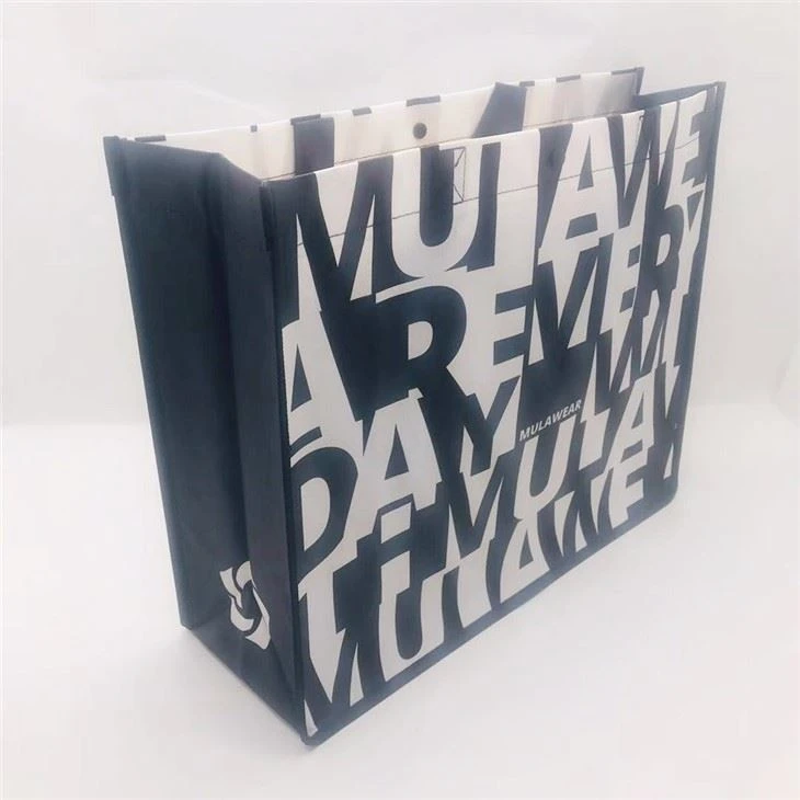 Beautiful PP Non Woven Bag