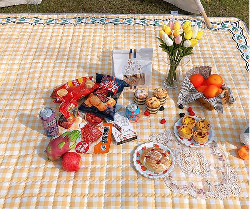 Fashionable Reusable Beach Mat